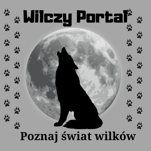 logo-wilczy-portal