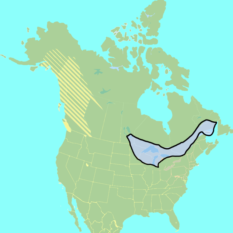 mapa-wystepowania-wilka-algonkinskiego-ameryka-polnocna